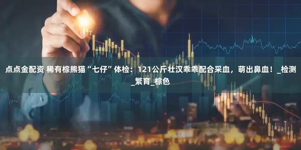 点点金配资 稀有棕熊猫“七仔”体检：121公斤壮汉乖乖配合采血，萌出鼻血！_检测_繁育_棕色