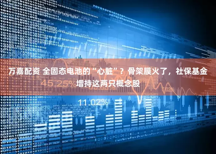 万嘉配资 全固态电池的“心脏”？骨架膜火了，社保基金增持这两只概念股