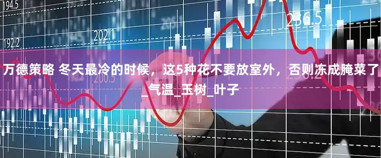 万德策略 冬天最冷的时候，这5种花不要放室外，否则冻成腌菜了_气温_玉树_叶子