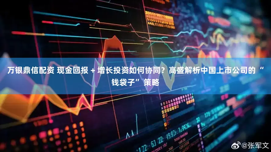 万银鼎信配资 现金回报 + 增长投资如何协同？高盛解析中国上市公司的 “钱袋子” 策略