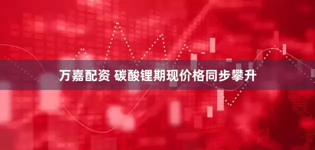 万嘉配资 碳酸锂期现价格同步攀升