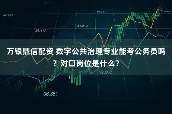 万银鼎信配资 数字公共治理专业能考公务员吗？对口岗位是什么？