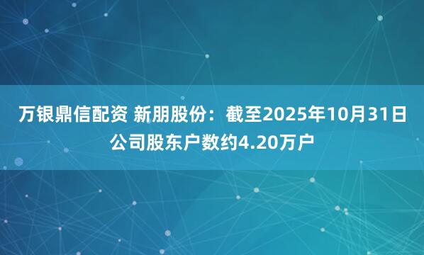 万银鼎信配资 新朋股份：截至2025年10月31日公司股东户数约4.20万户