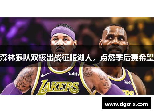 森林狼队双核出战征服湖人，点燃季后赛希望